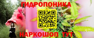 spice Краснознаменск