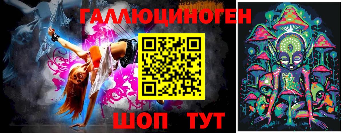 Кандалакша  Галлюциногенные грибы Psilocybine cubensis  Вход с VPN 