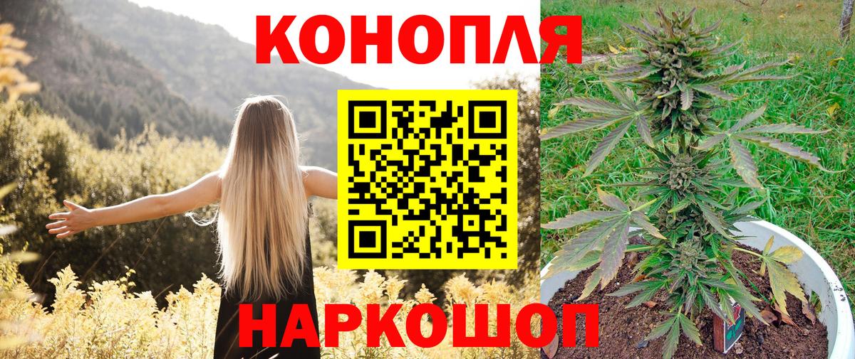 Конопля планчик Кандалакша